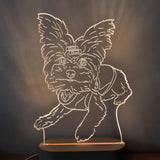 Personalised 3D Night Lamp